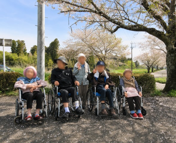 桜見学